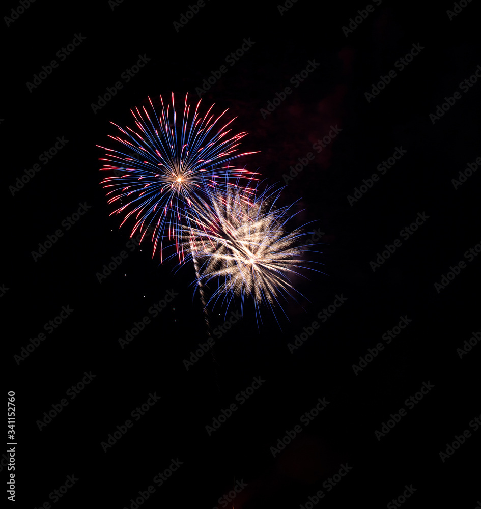Blue white and Pink fireworks exploding in the air with copy space Blue white and Pink fireworks exploding in the air with copy space