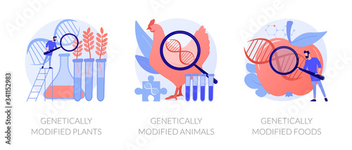 Gene modification, genetic engineering. Genetically modified plants, genetically modified animals, genetically modified foods metaphors. Vector isolated concept metaphor illustrations.