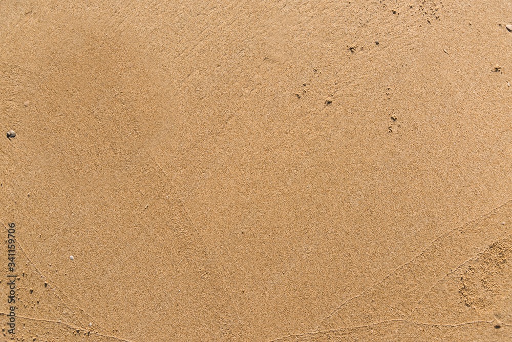 Flat sand on a beach textured backdrop - obrazy, fototapety, plakaty 
