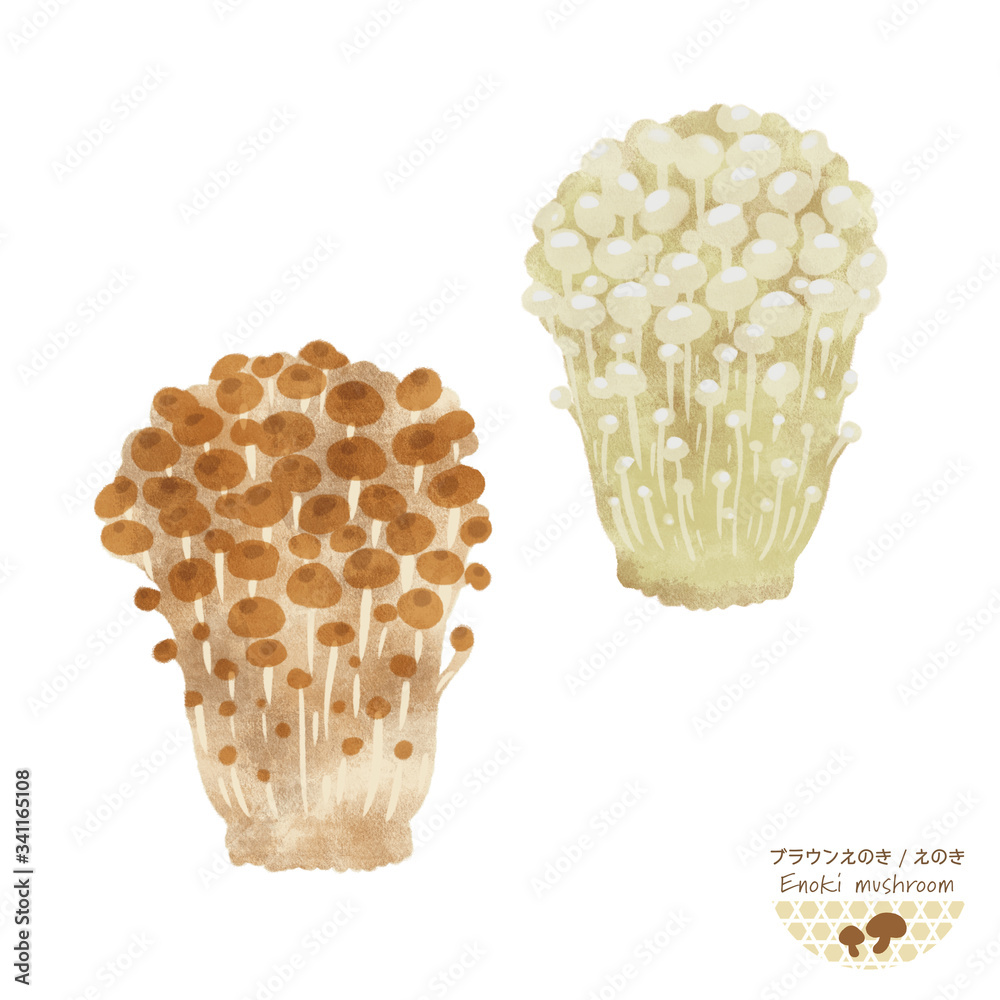 ブラウンえのき の画像 25 件の Stock 写真 ベクターおよびビデオ Adobe Stock ブラウンえのき の画像 25 件の Stock 写真 ベクターおよびビデオ Adobe Stock