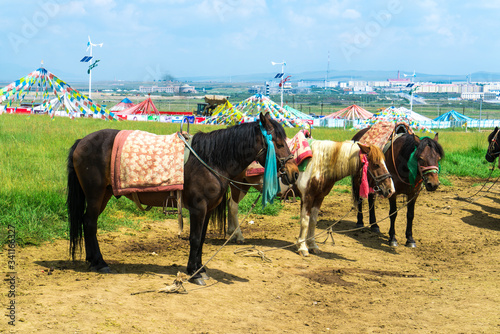 Horse colored prayer flags and yurts on the Jinyintan grassland in Qinghai, China. Horses on the Jinyintan grassland in Qinghai, China.
