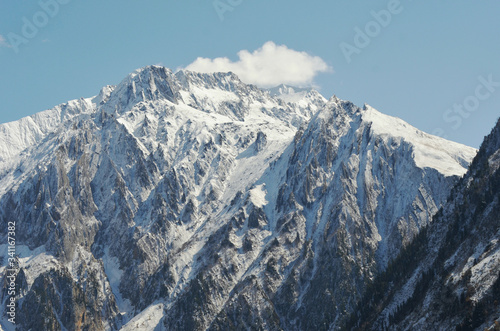 A mountain peak covered in snow rises into a blue sky. One white cloud hovers beside the peak. The sides of the mountain are covered in trees. © Anne