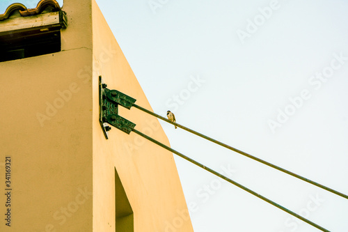 Low Angle View Of Bird Perching On Power Line