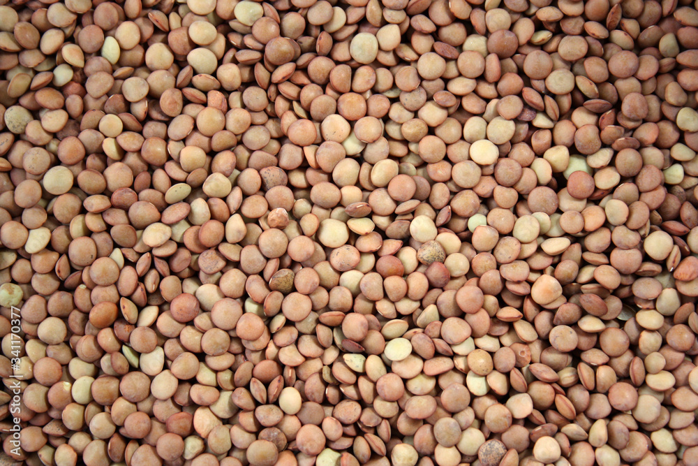 Brown lentils. Background texture of grains of brown lentils. Top view of lentil grain. Close-up, horizontal view from above. The concept of a healthy diet and agriculture. Brown lentils. Background texture of grains of brown lentils. Top view of lentil grain. Close-up, horizontal view from above. The concept of a healthy diet and agriculture.