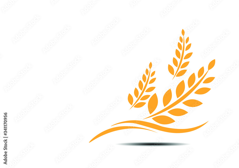 Agriculture wheat Logo Template vector icon design.vector illustration EPS 10. Agriculture wheat Logo Template vector icon design.vector illustration EPS 10.