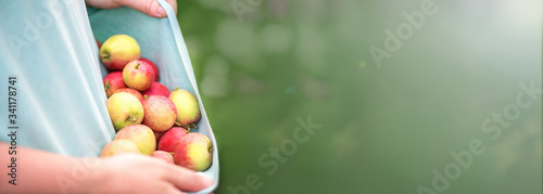 Fotografie Banner