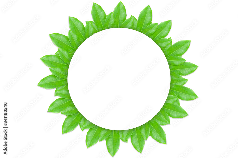 Leaf frame for inserting circular text in the middle Leaf frame for inserting circular text in the middle