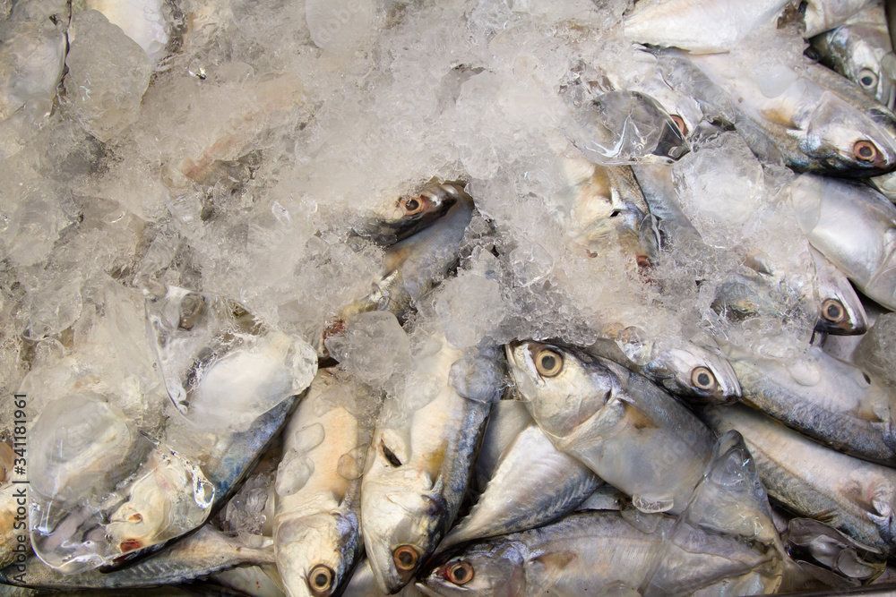 Fresh Mackerel with ice at fresh seafood market, top view