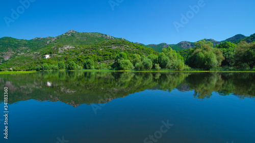 View of Skadar Lake near Crnojevica river, Rijeka Crnojevica, Montenegro.