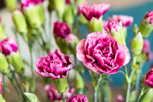 Pink carnations in a bouquet