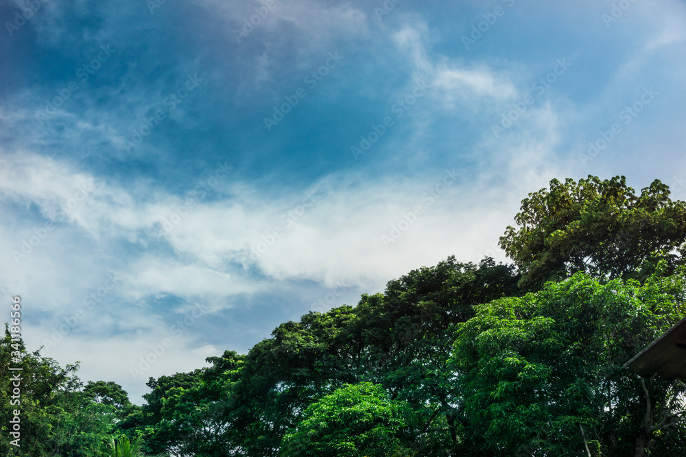 the space above the Earth where clouds and the Sun and stars appear the space above the Earth where clouds and the Sun and stars appear