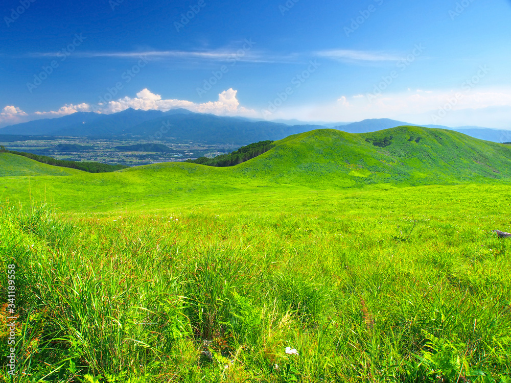 日本で希少な草原 (霧ヶ峰･ガボッチョ山と南アルプス)