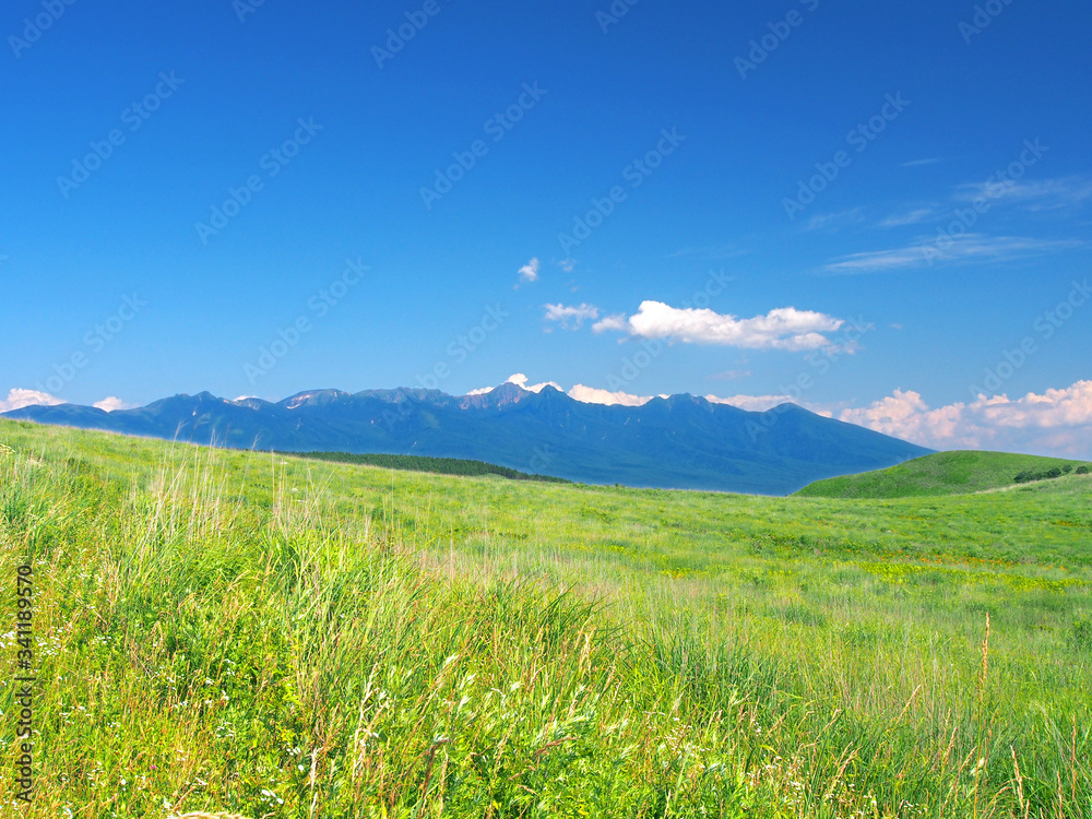 初夏の草原･八ヶ岳の眺め(霧ヶ峰)