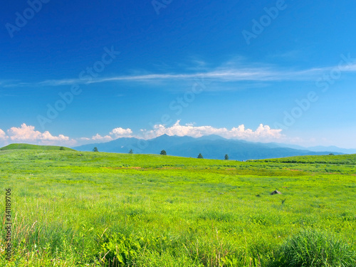 草原の眺望(霧ヶ峰･南アルプス) photo