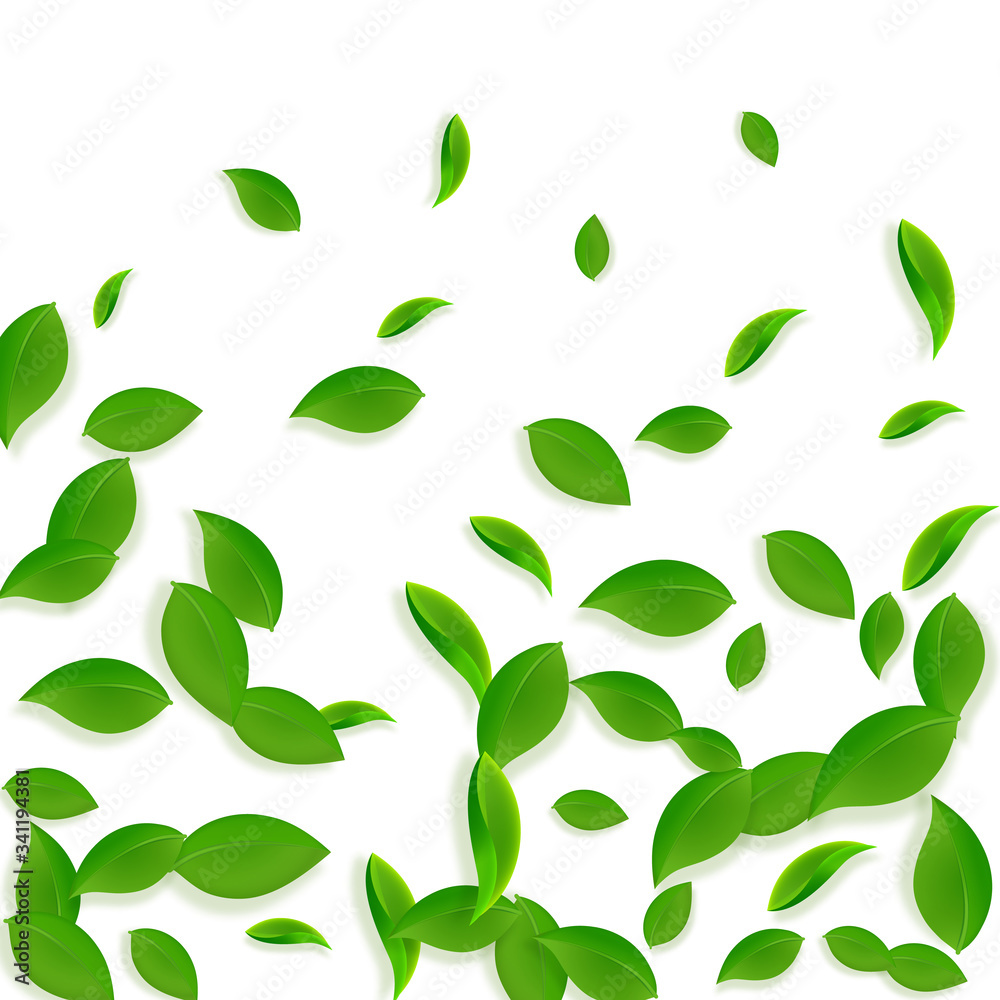 Falling green leaves. Fresh tea chaotic leaves fly