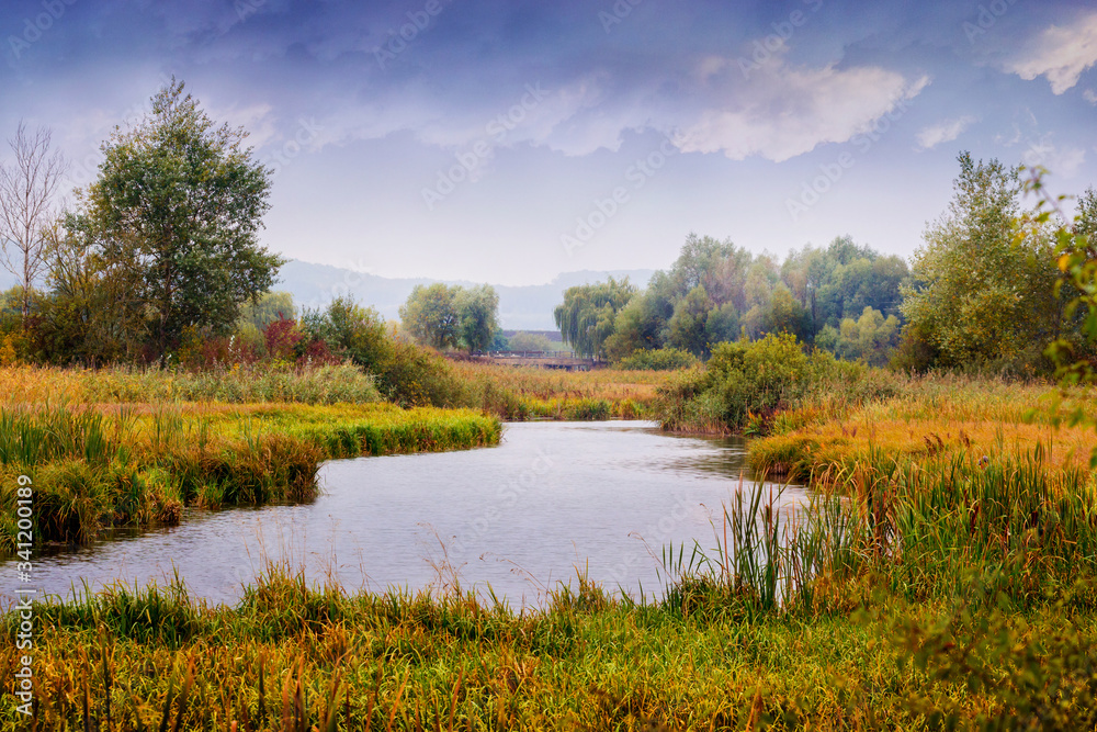 Autumn landscape with river, thickets of trees and reeds on the shores and cloudy sky Autumn landscape with river, thickets of trees and reeds on the shores and cloudy sky