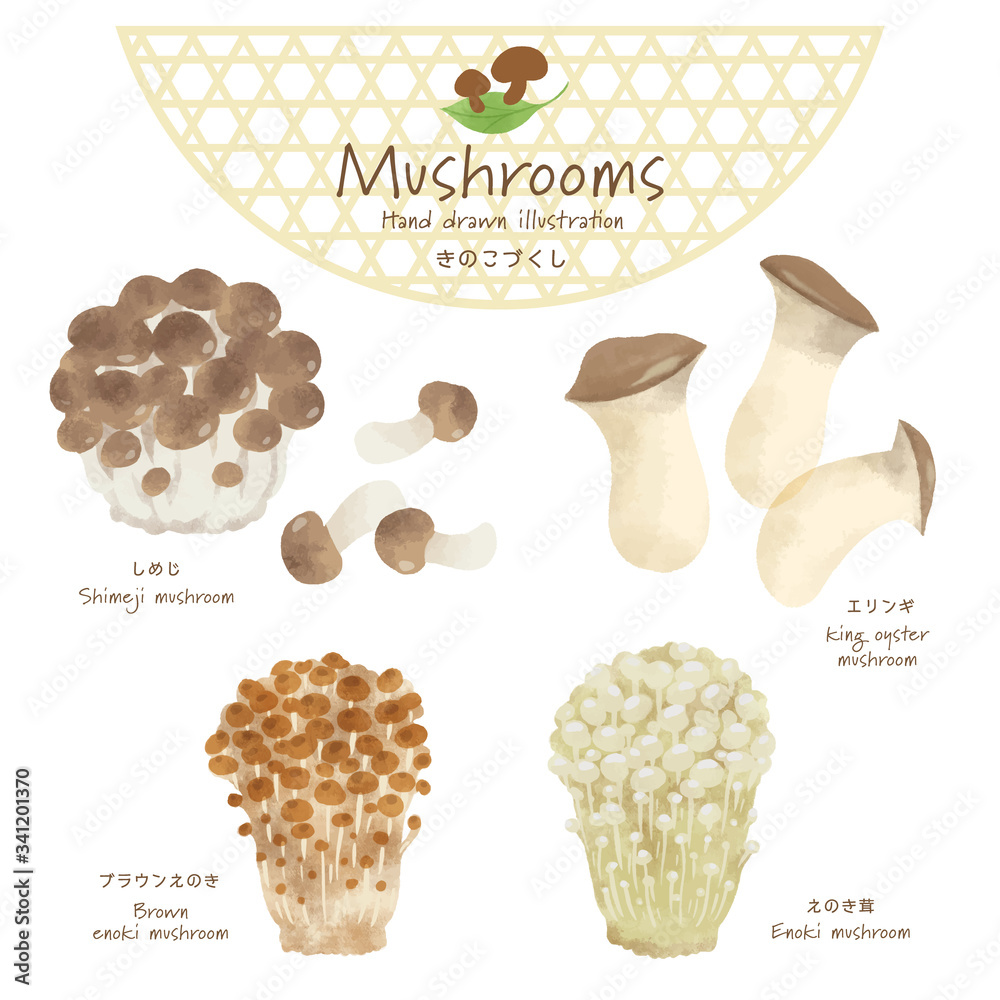 ブラウンえのき の画像 25 件の Stock 写真 ベクターおよびビデオ Adobe Stock ブラウンえのき の画像 25 件の Stock 写真 ベクターおよびビデオ Adobe Stock