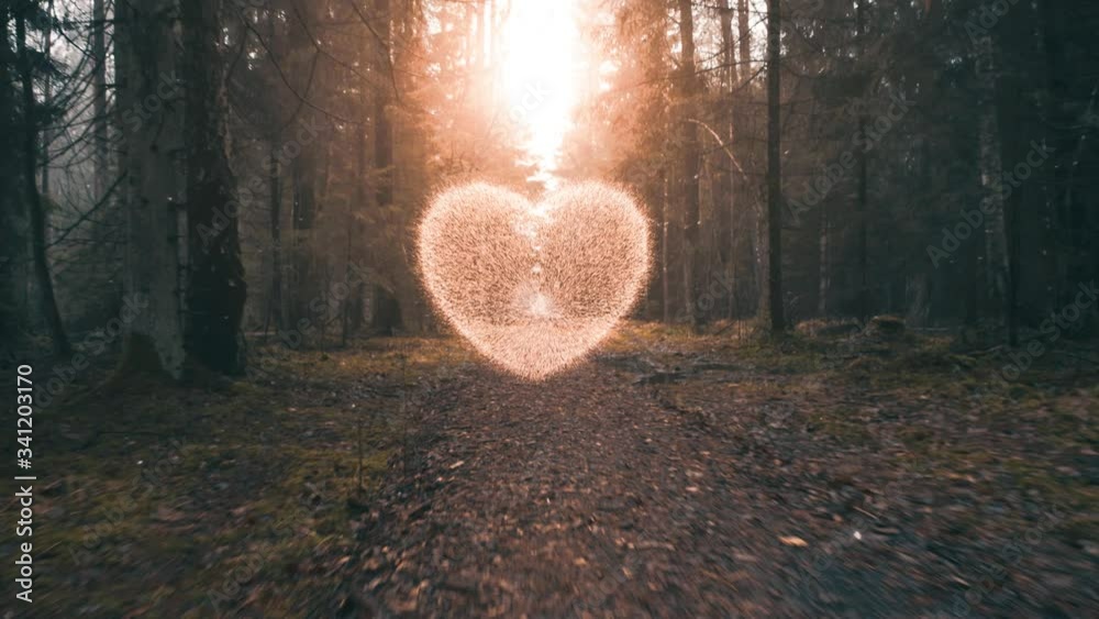 Magic forest heart. Concept of love of nature, woods, hiking, ecology