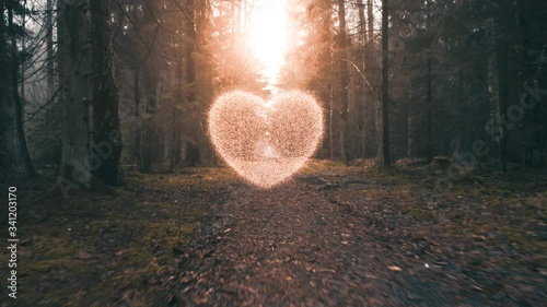 Magic forest heart. Concept of love of nature, woods, hiking, ecology photo