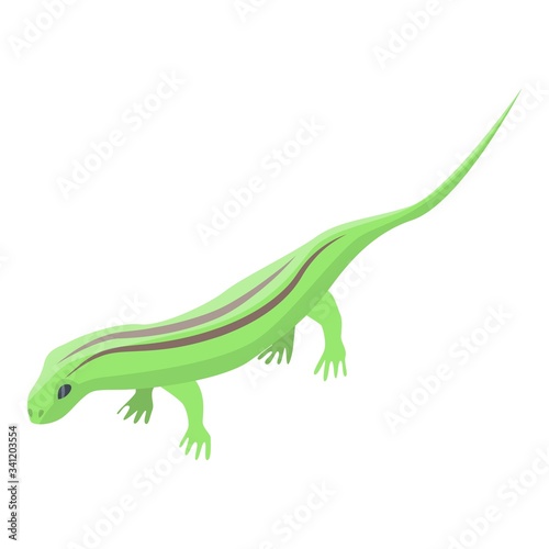 Field lizard icon. Isometric of field lizard vector icon for web design isolated on white background