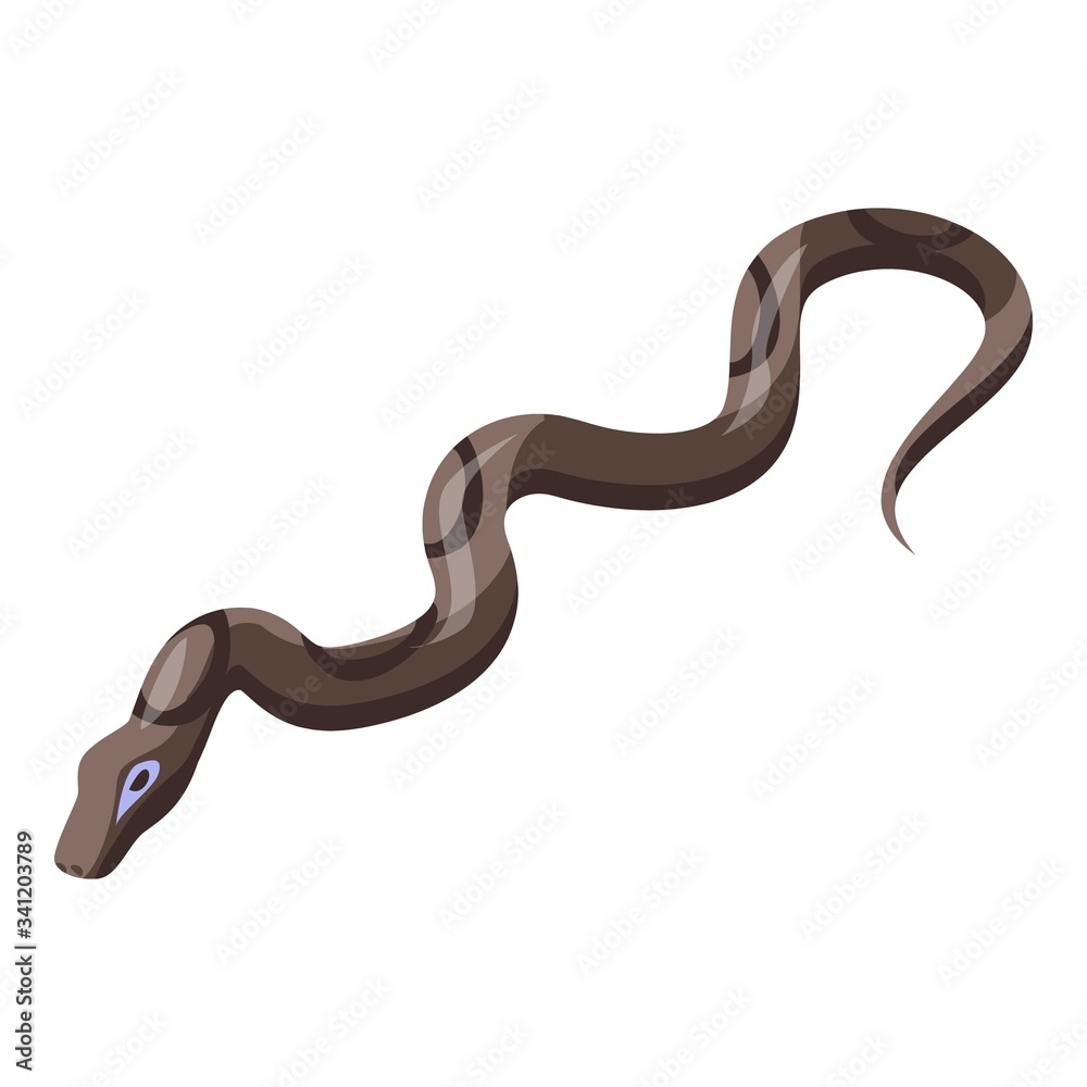 Fototapeta premium Venomous snake icon. Isometric of venomous snake vector icon for web design isolated on white background