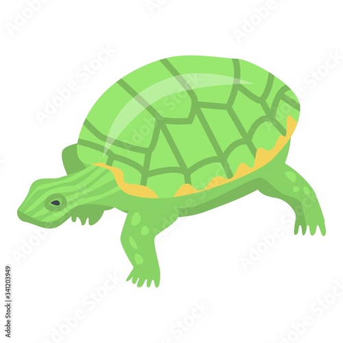 Green turtle icon. Isometric of green turtle vector icon for web design isolated on white background
