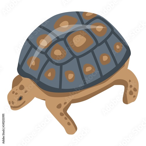 Tropical reptile turtle icon. Isometric of tropical reptile turtle vector icon for web design isolated on white background
