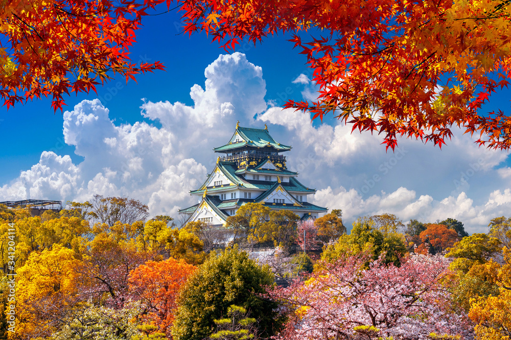 Naklejka premium Jesienne sezony i zamek w Osace w Japonii.
