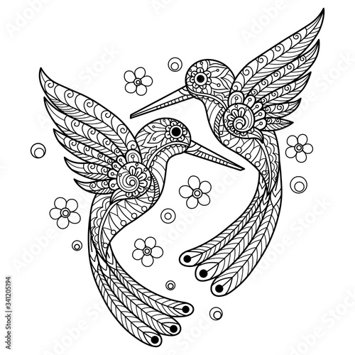Hummingbird. Hand drawn sketch illustration for adult coloring book.