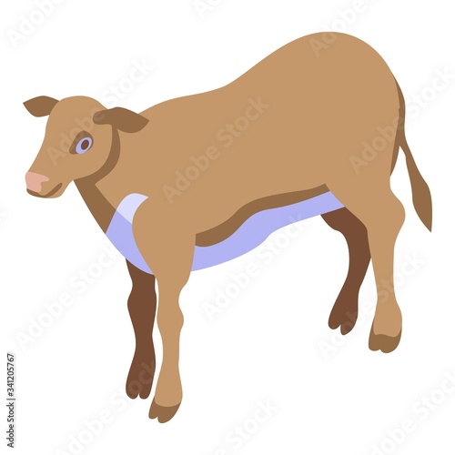 Field cow icon. Isometric of field cow vector icon for web design isolated on white background