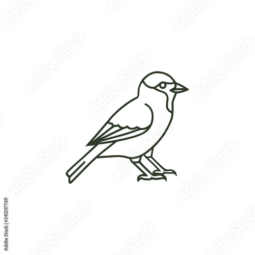 Design of bird and sparrow symbol isolated on white background