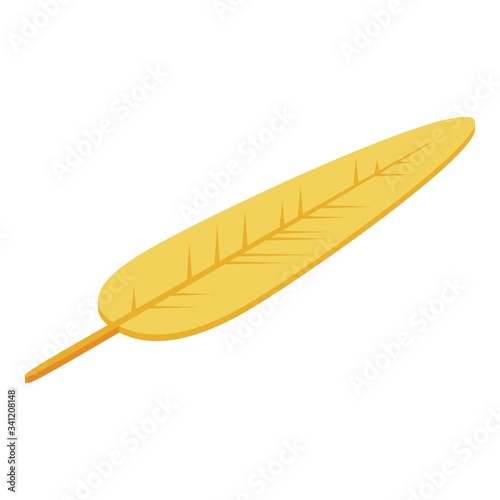 Gold rooster feather icon. Isometric of gold rooster feather vector icon for web design isolated on white background
