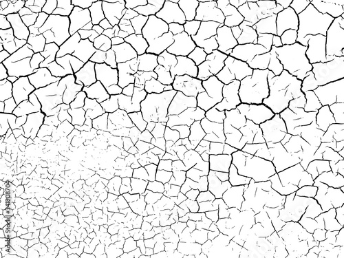 The cracks texture white and black. Vector background.Cracked earth. Structure of cracking. Cracks in dry surface soil texture.  