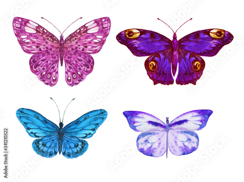Wallpaper Mural butterflies watercolor hand painting Torontodigital.ca
