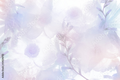 Purple blooming anemone flower background photo