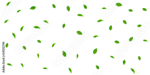 Falling green leaves. Fresh tea random leaves flyi © Begin Again