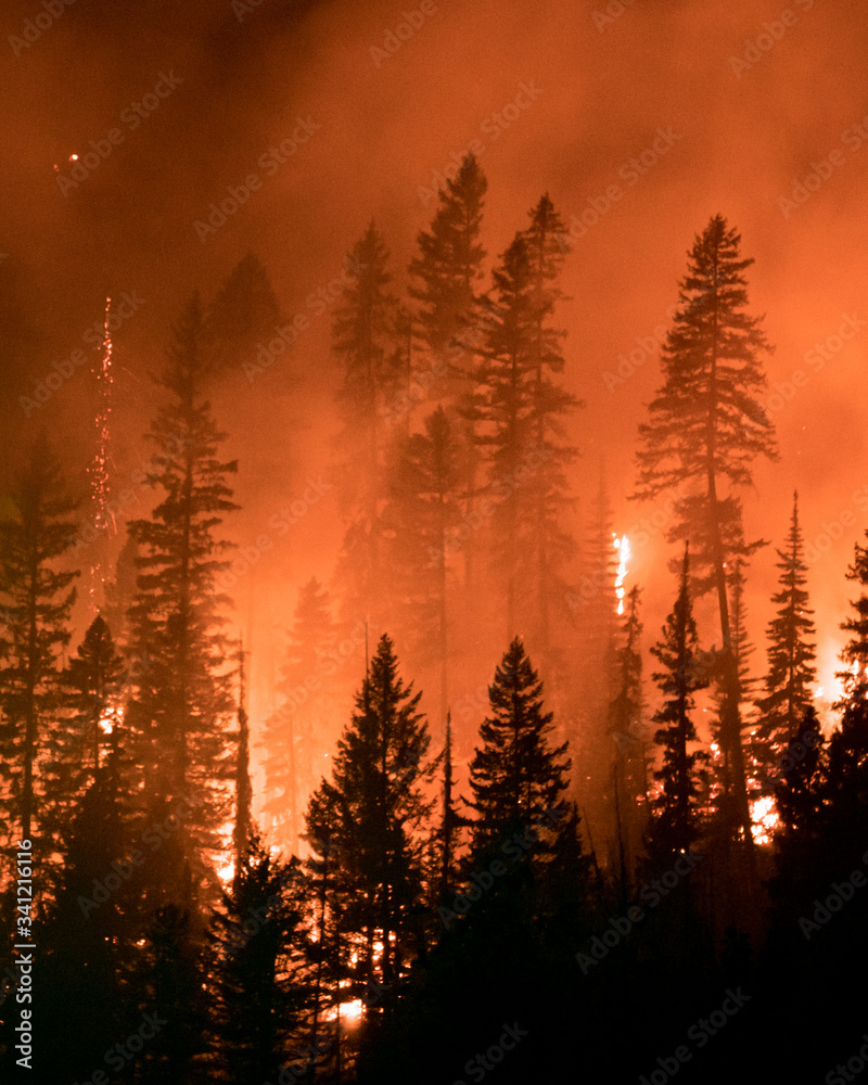 Wildfire Wildfire