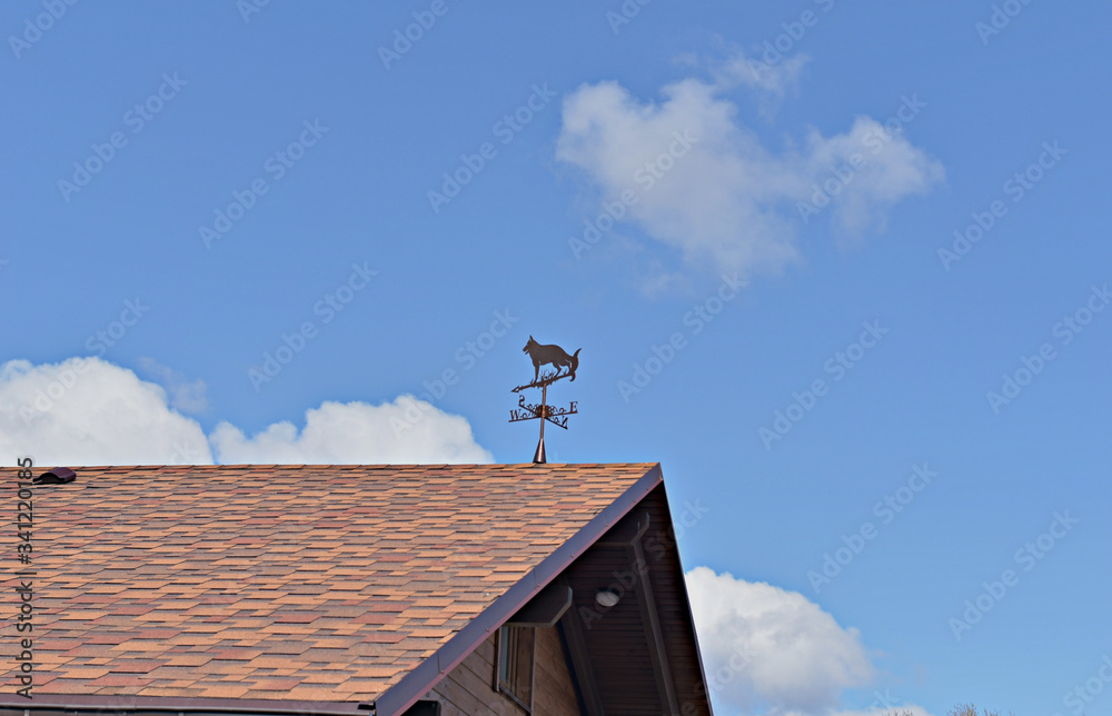A weather vane in the form of a dog mounted on the roof of the house shows the direction of the wind.