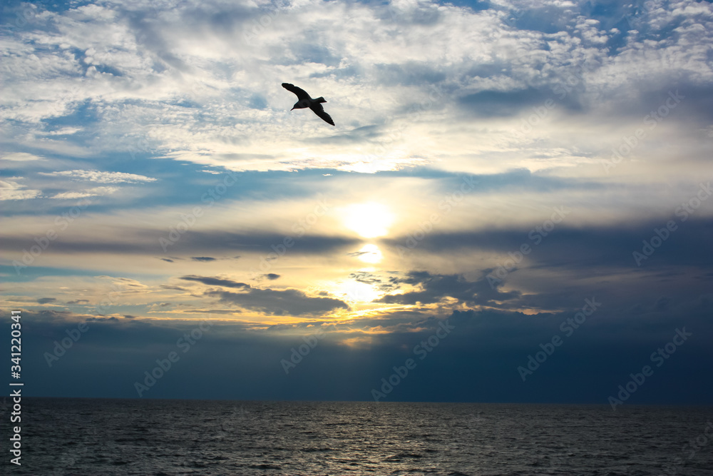 Fototapeta premium Beautiful morning blue sky with clouds, sun and silhouette of a seagull by the sea