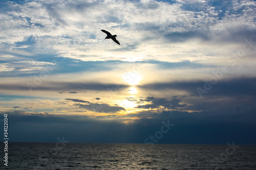 Beautiful morning blue sky with clouds, sun and silhouette of a seagull by the sea