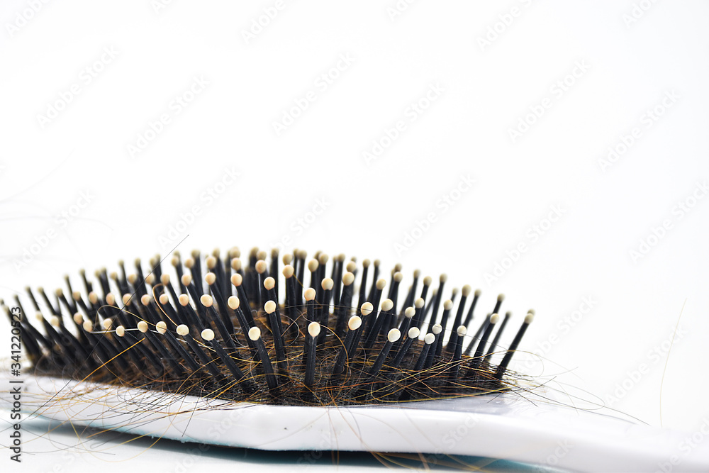 White hair for brushes There are a lot of hair entangled. Putting on a white background
White hair for brushes There are a lot of hair entangled. Putting on a white background