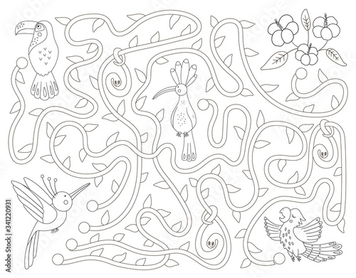 Fototapeta Naklejka Na Ścianę i Meble -  Tropical black and white maze for children. Preschool exotic activity. Funny jungle puzzle with cute parrot, hoopoe and toucan. Help the bird get to the flowers game. Fun coloring page for kids.