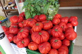fresh vegetable ox-heart tomatoes on the market