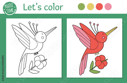 Tropical coloring page for children. Vector humming bird with flower illustration. Cute funny animal character outline. Jungle summer color book for kids with colored version and example.