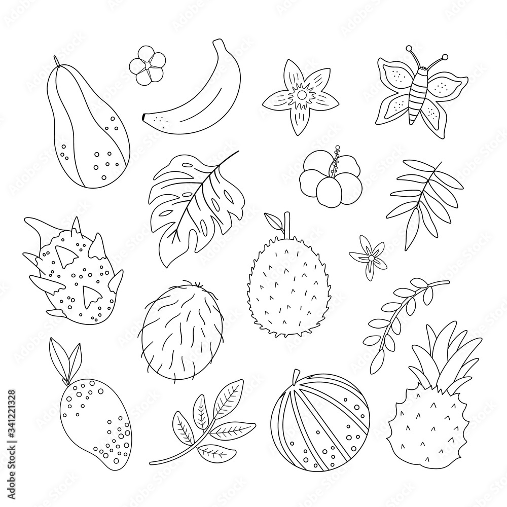 Vector tropical fruit, flowers and leaves outlines. Jungle foliage and florals black and white illustration. Hand drawn flat exotic plants isolated on white background. Summer greenery design. Vector tropical fruit, flowers and leaves outlines. Jungle foliage and florals black and white illustration. Hand drawn flat exotic plants isolated on white background. Summer greenery design.