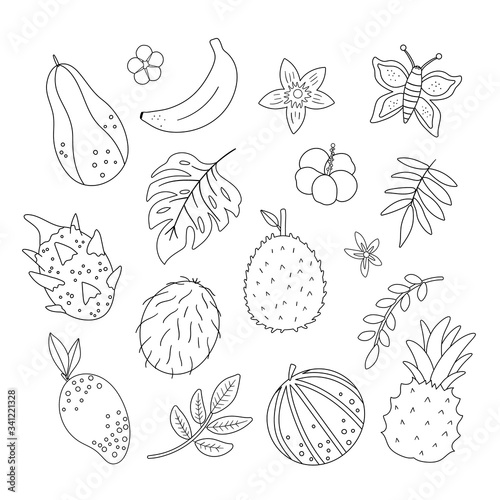 Vector tropical fruit, flowers and leaves outlines. Jungle foliage and florals black and white illustration. Hand drawn flat exotic plants isolated on white background. Summer greenery design.