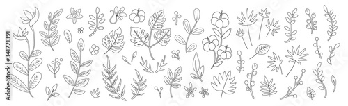 Vector tropical flowers leaves and twigs outlines. Jungle foliage and florals black and white illustration. Hand drawn flat exotic plants sketch. Summer greenery design..