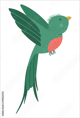 Vector cute funny flying quetzal isolated on white background. Funny tropical exotic bird illustration. Bright flat picture for children. Jungle summer clip art.