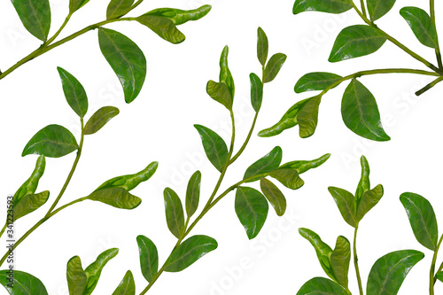 Seamless floral ornament with green foliage .