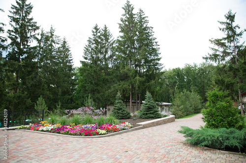 landscape beautifully designed area